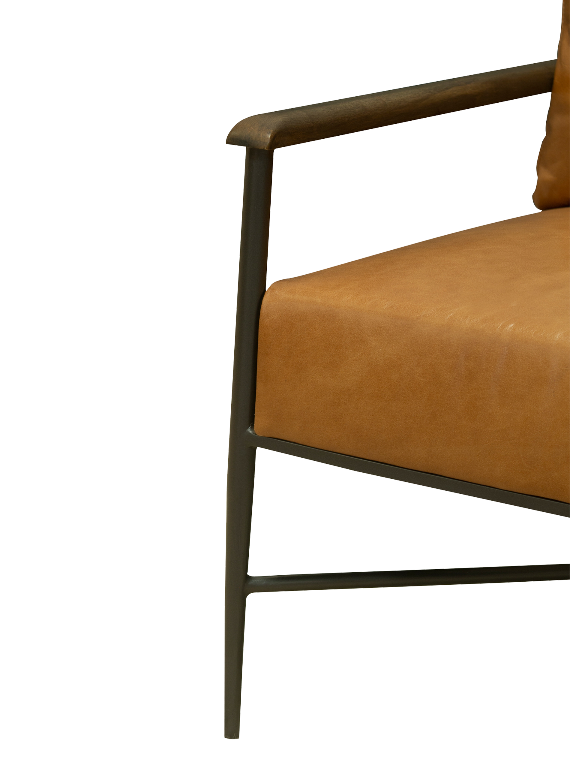 Elegant Mitzi accent chair for home decoration