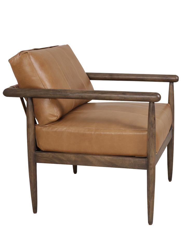 Modern Accent Chairs