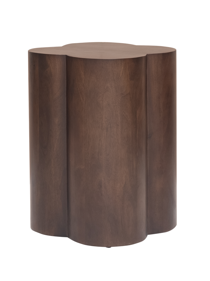 Austin side table with modern wooden design